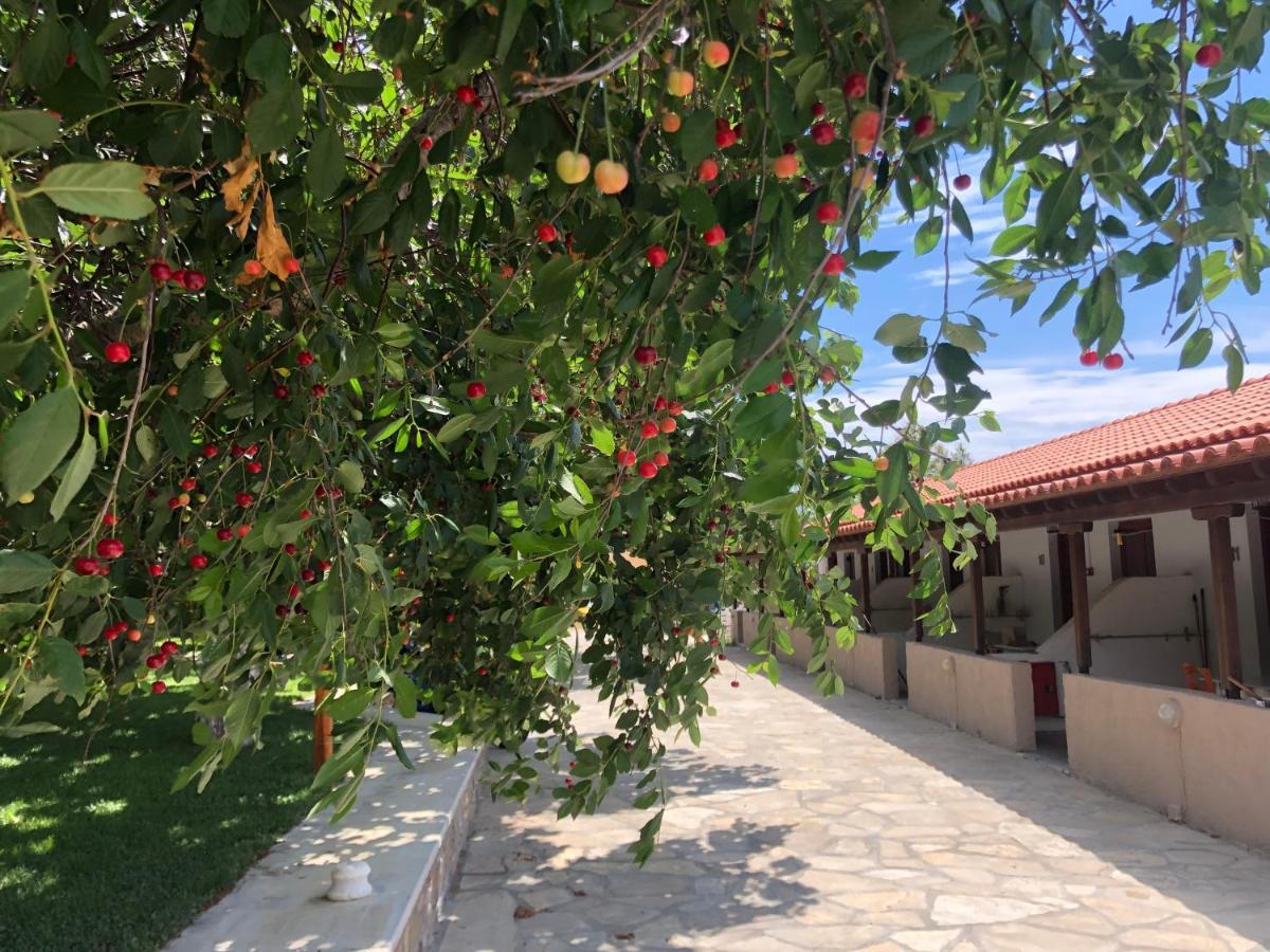 Gregory'S Village Плати Экстерьер фото